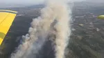 Bölge tahliye ediliyor... Aydın'da orman yangını!