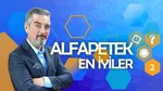 Fenomen yarışma Alfapetek yeni adresinde