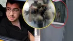 26 Köpeği Öldüren Doktorun Savunması Şoke Etti! İnanılmaz Pişkinlik!